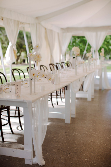 Elke-miles - The Bluebird Collective