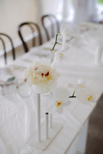 Elke-miles - The Bluebird Collective