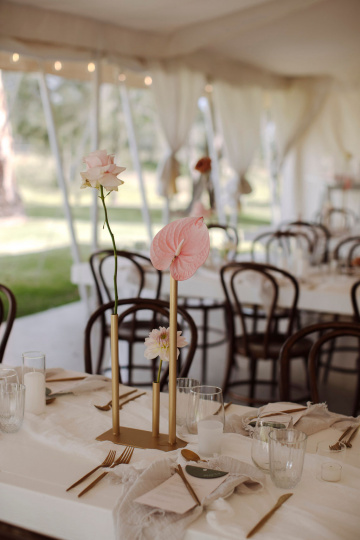 Elke-miles - The Bluebird Collective