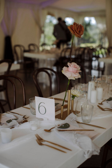 Elke-miles - The Bluebird Collective