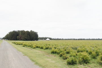 Genevieve-and-eoin - The Bluebird Collective