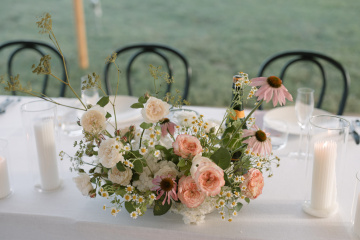 Jess-dave - The Bluebird Collective