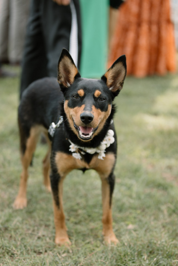 Jess-dave - The Bluebird Collective