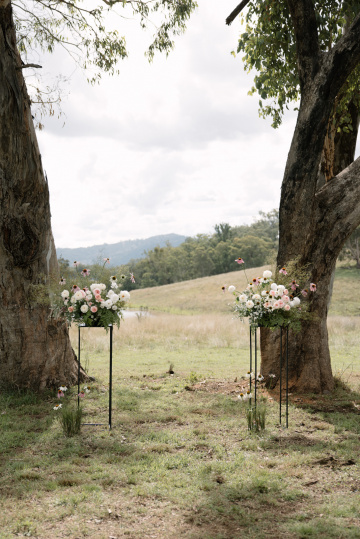 Jess-dave - The Bluebird Collective